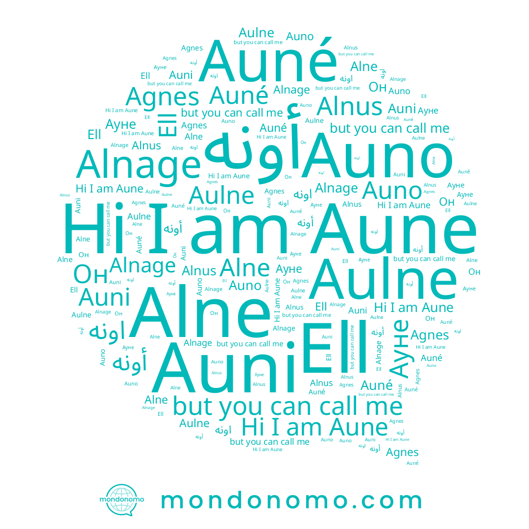 name Auno, name Ell, name Auné, name اونه, name Aune, name Alne, name Он, name Alnage, name Agnes, name Auni, name Ауне