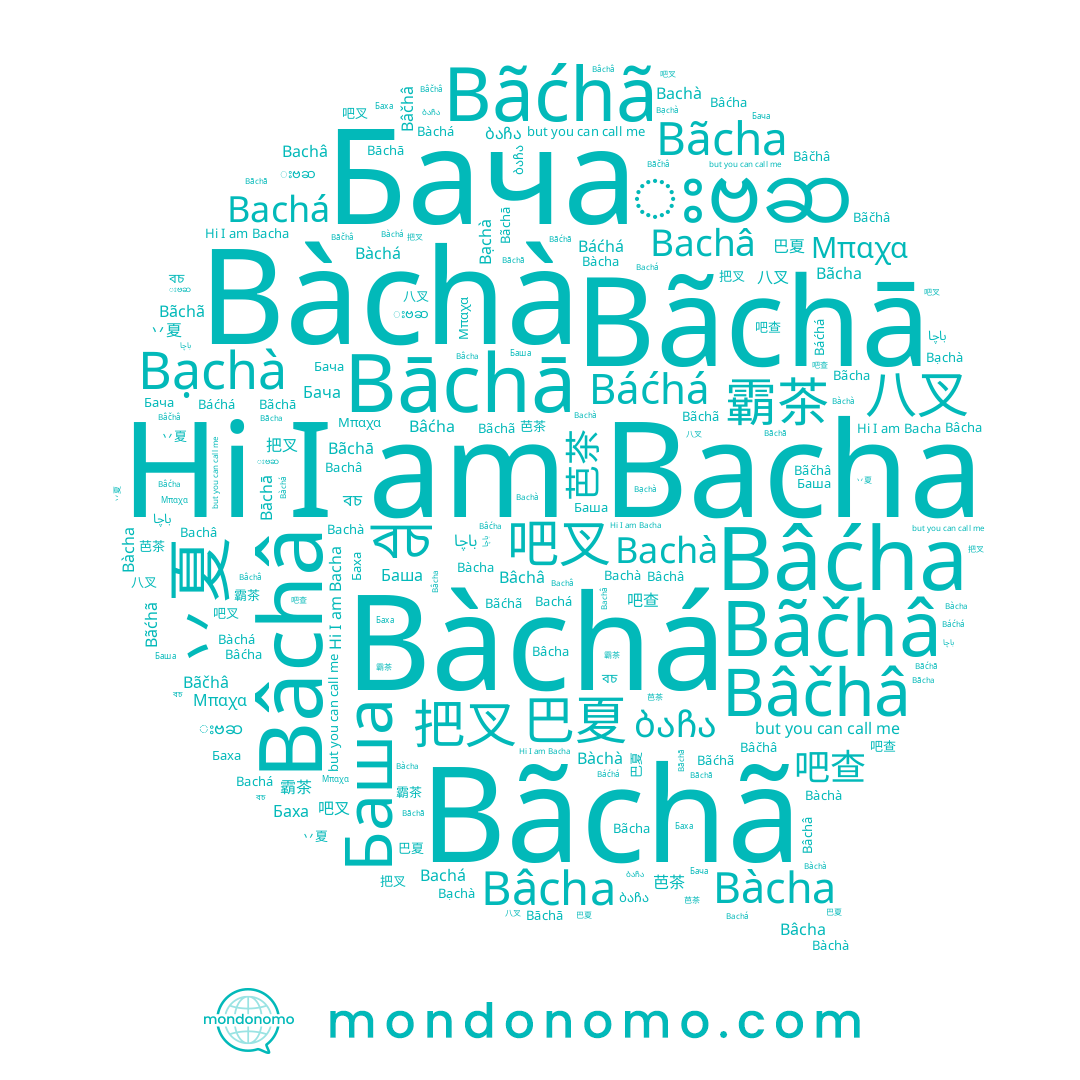name Bāchā, name Бача, name باچا, name 把叉, name 霸茶, name Bãchã, name Bâćha, name Bâcha, name Bãchā, name Bạchà, name Bâčhâ, name 吧叉, name Bachá, name Bachà, name Bãcha, name 吧查, name Bàcha, name 丷夏, name Баха, name Bàchá, name 巴夏, name Bacha, name 八叉, name Bãčhâ, name းဗဆ, name Bàchà, name 芭茶, name Bâchâ, name Bãćhã, name বচ, name Баша, name ბაჩა, name Bachâ, name Μπαχα, name Báćhá