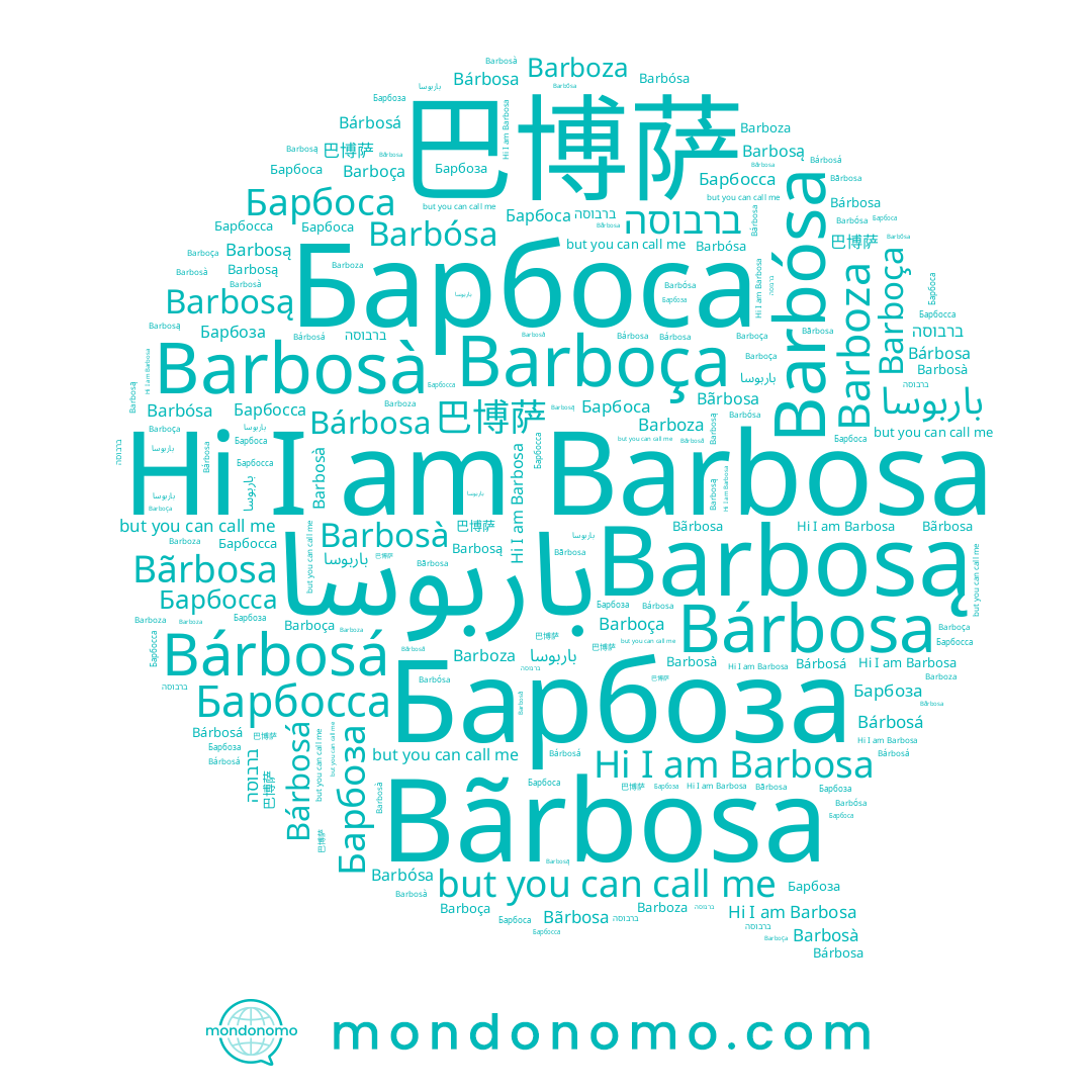 name Барбоза, name Bãrbosa, name Bárbosá, name Барбоса, name Barbosà, name Barboza, name Barboça, name Barbosą, name 巴博萨, name Barbósa, name ברבוסה, name Bárbosa, name Барбосса, name Barbosa