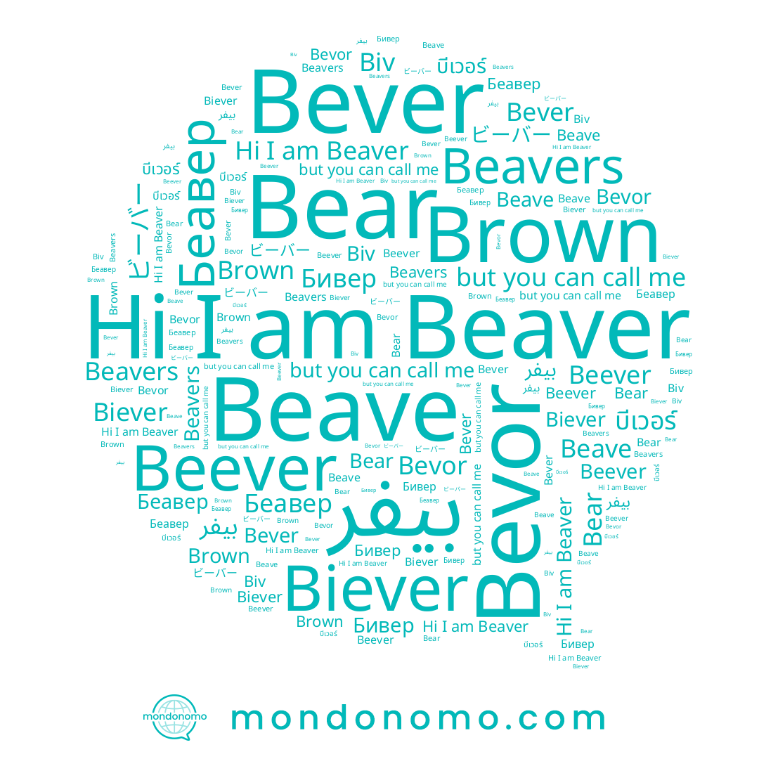 name Beaver, name Biever, name Bever, name Brown, name Beavers, name บีเวอร์, name Beave, name Беавер, name Bear, name Bevor, name Beever