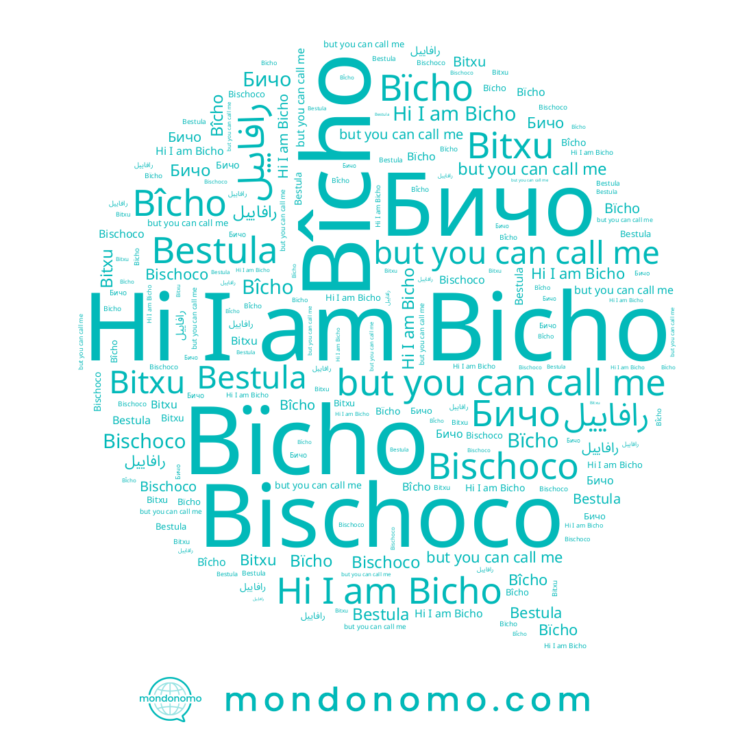 name Bîcho, name Bischoco, name Bicho, name Бичо, name Bïcho, name Bestula