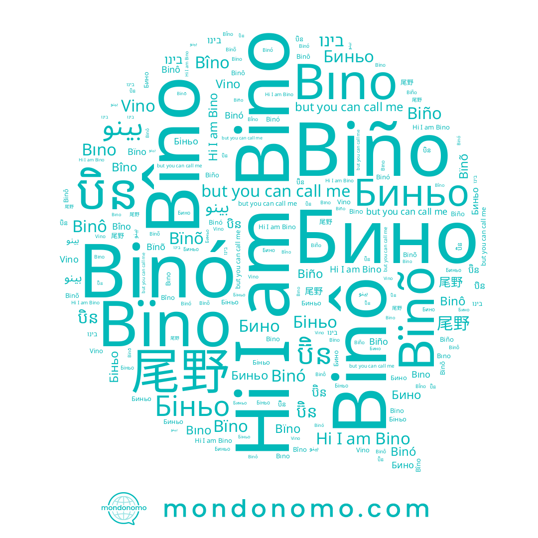 name Биньо, name Biño, name Bîno, name Bïno, name Bıno, name Binô, name ប៊ិន, name Бино, name Binó, name Bïnõ, name بينو, name 尾野, name בינו, name បិន, name Bino, name Vino, name Біньо
