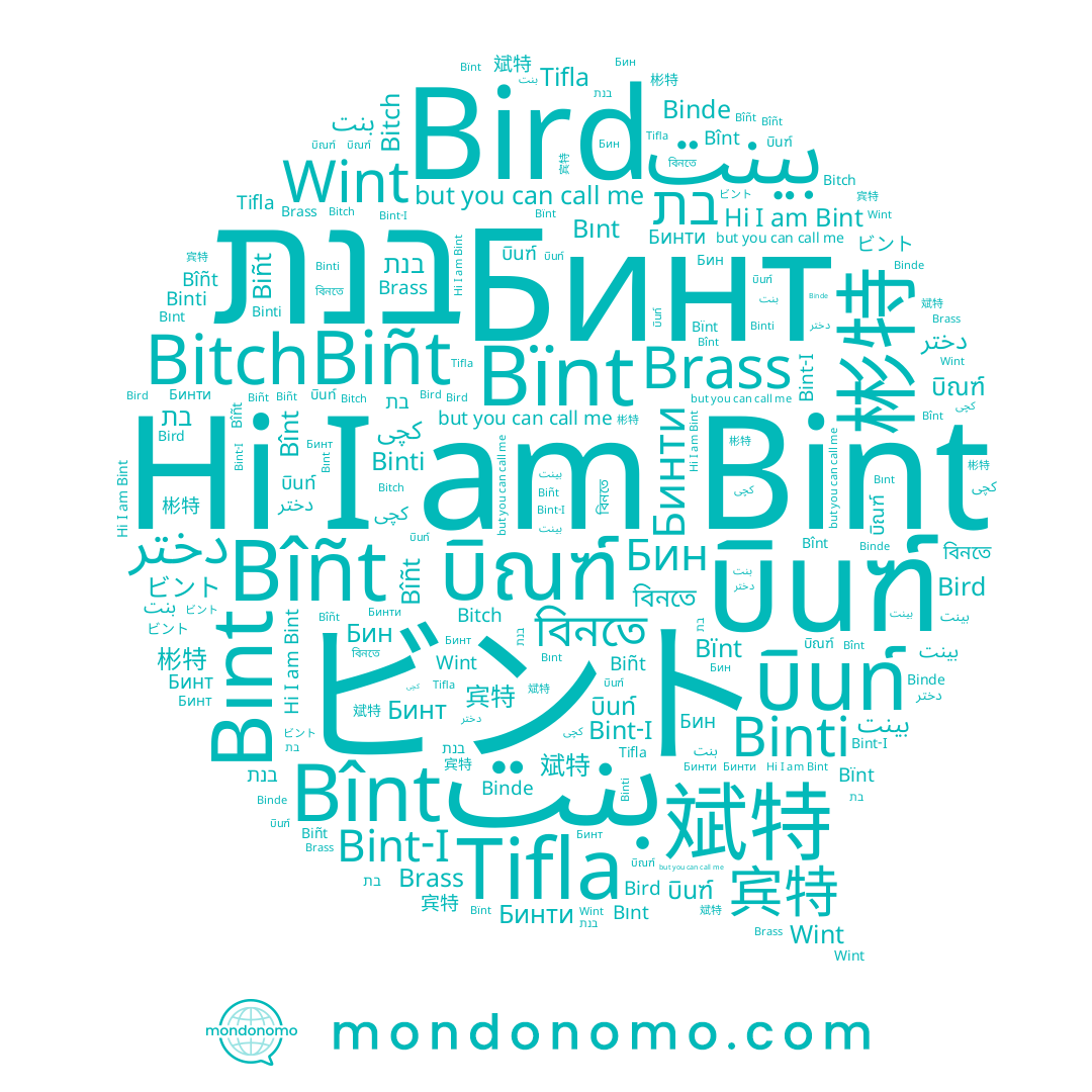 name بینت, name Bint, name บิณฑ์, name Bint-I, name Бинти, name 彬特, name دختر, name Bînt, name Tifla, name کچی, name Biñt, name Binti, name بنت, name Bïnt, name בנת, name Bird, name Bîñt, name Binde, name Bitch, name บินท์, name Бин, name বিনতে, name 宾特, name ビント, name บินฑ์, name 斌特, name Wint, name Brass