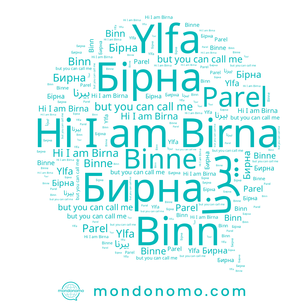 name Бірна, name Binne, name Binn, name Parel, name Бирна, name بيرنا, name Ylfa, name Birna