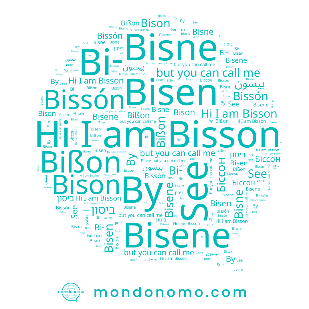 name Bißon, name Bissón, name بيسون, name Біссон, name See, name ביסון, name By, name Bisne, name Bisen, name Bisson, name Bisene, name Bison