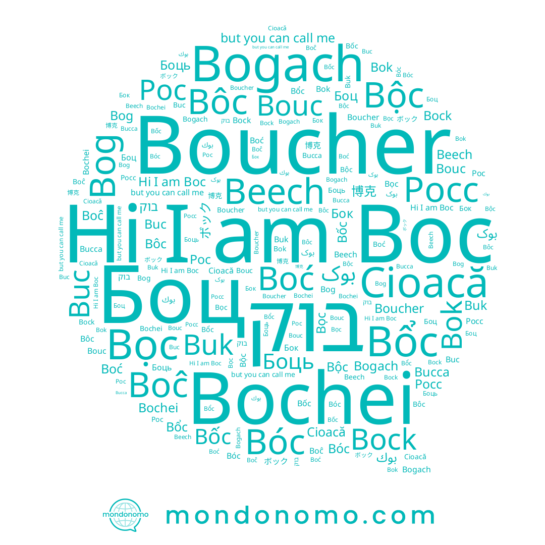 name Bucca, name Bộc, name Bouc, name Bogach, name Bổc, name Bok, name Бок, name בוק, name Buc, name Boucher, name Buk, name ボック, name 博克, name Boĉ, name Cioacă, name Bochei, name Bock, name Boc, name Boć, name Bôc, name Bọc, name Bóc, name بوك, name Bog, name Боц, name Боць, name Beech