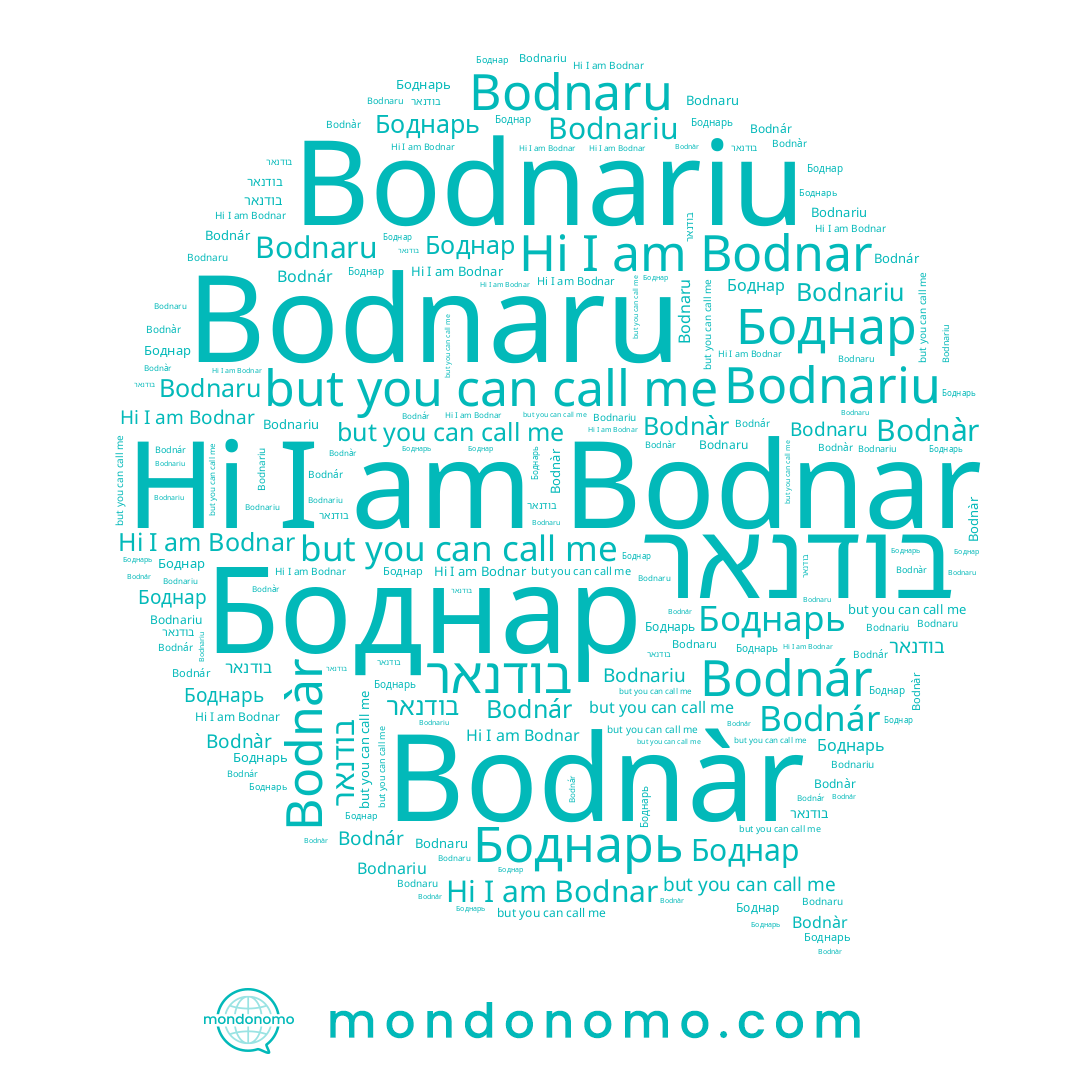 name Bodnàr, name Bodnariu, name Bodnár, name Bodnar, name Bodnaru, name בודנאר, name Боднарь, name Боднар