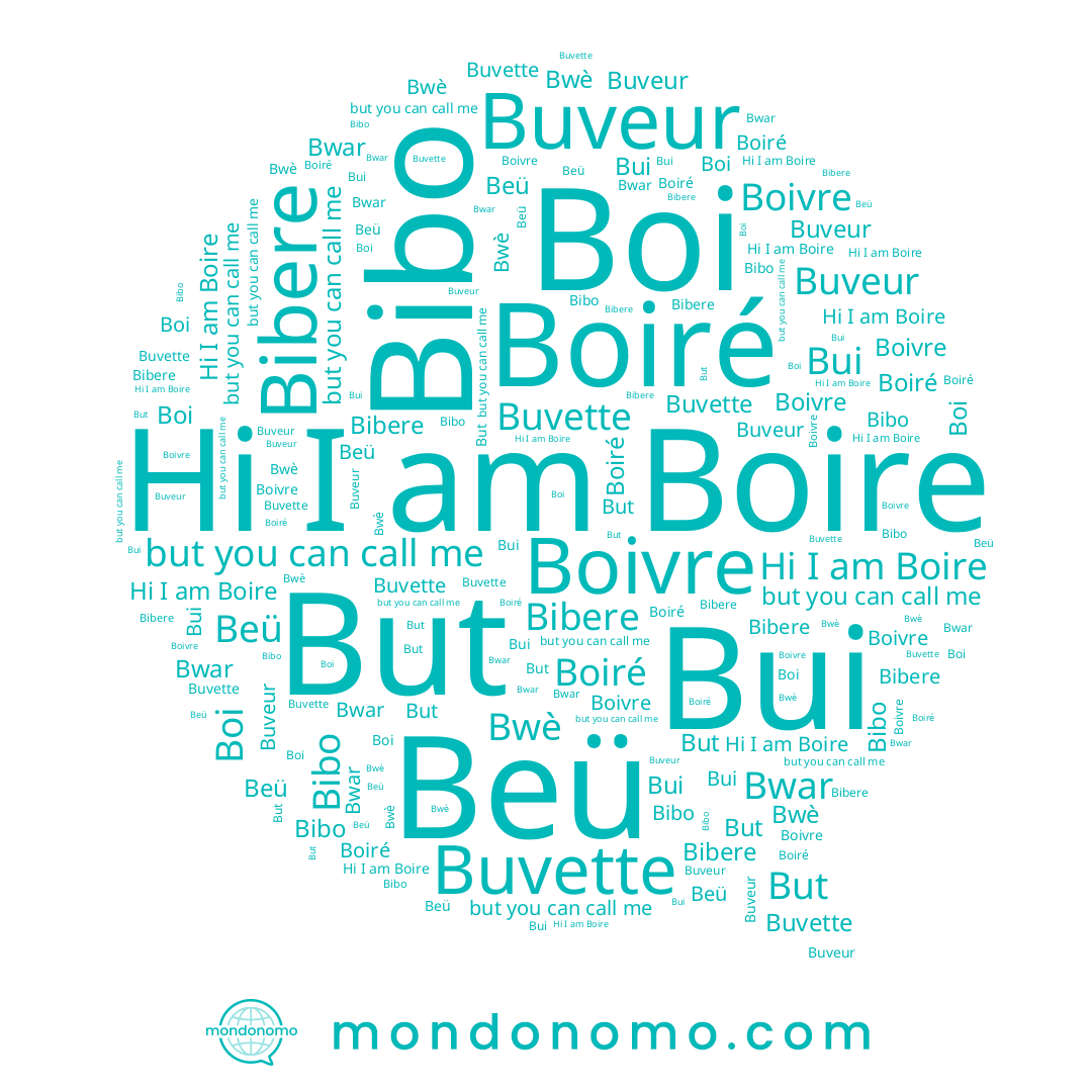 name Buveur, name Bibere, name Bibo, name But, name Bwar, name Boire, name Boiré, name Boivre, name Beü, name Bui, name Boi, name Bwè