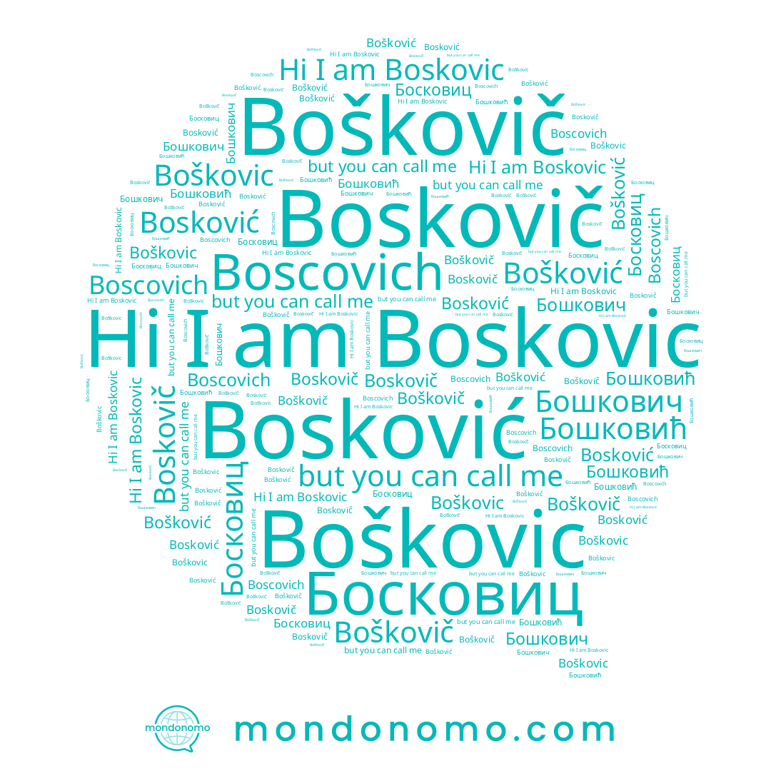 name Bosković, name Boskovič, name Boškovič, name Бошкович, name Бошковић, name Босковиц, name Boškovic, name Bošković, name Boscovich, name Boskovic