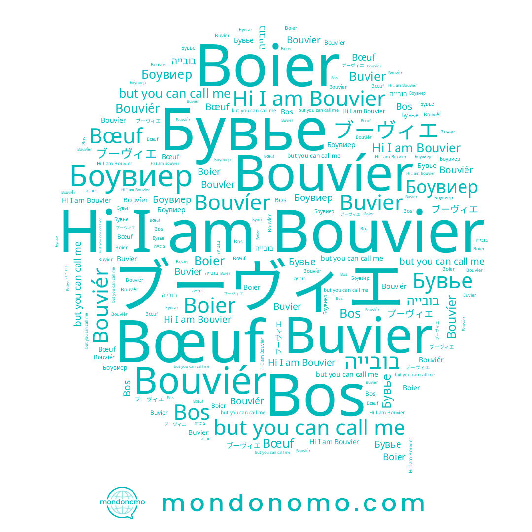 name Bœuf, name Bouvíer, name Buvier, name Боувиер, name Boier, name Bouviér, name Bouvier, name בובייה, name Бувье, name Bos
