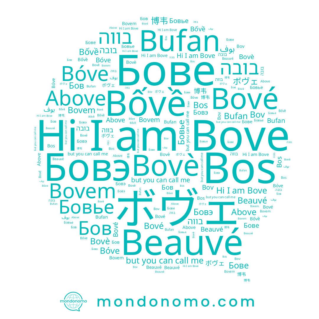 name Bovè, name Bóve, name Бовье, name Bov, name Bové, name 博韦, name بوف, name Бове, name Bove, name בובה, name Beauvé, name Bốvề, name Бовэ, name Bos