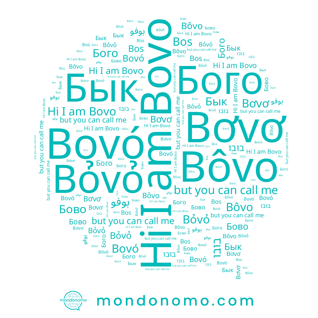 name Bovó, name Bôvo, name Бово, name Bơvơ, name בובו, name Bovo, name Bỏvỏ, name Бого, name Bos