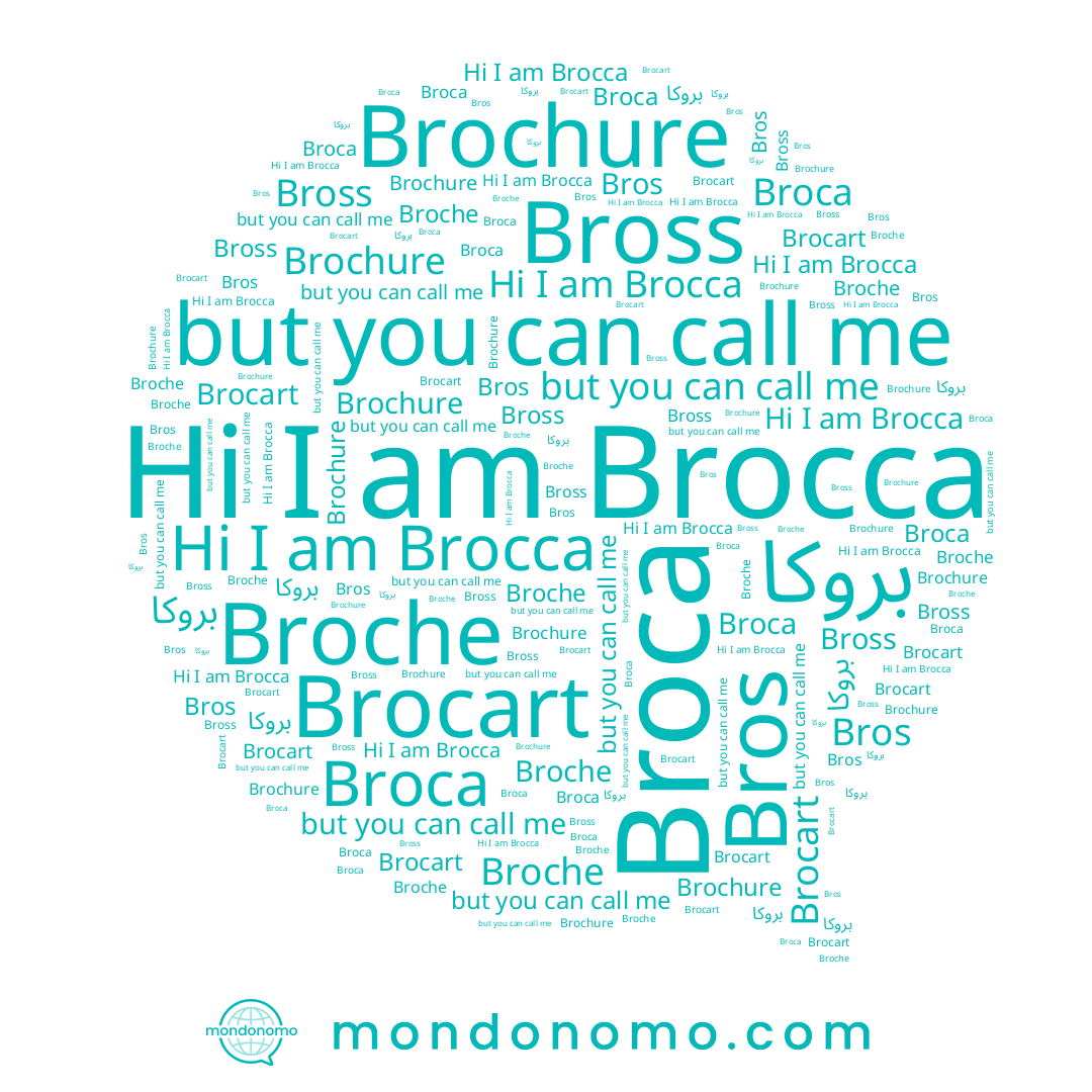 name Bross, name Bros, name Brocca, name Broche, name بروكا, name Broca, name Brocart