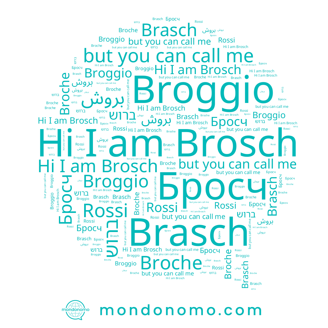 name Broggio, name Brosch, name Broche, name Brasch, name بروش, name Rossi, name ברוש, name Бросч