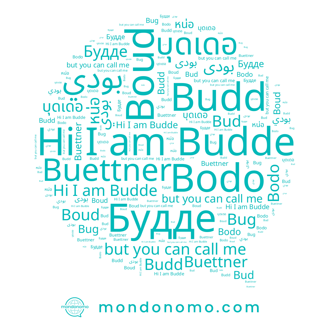 name Bud, name Bug, name بودى, name Budde, name Budd, name Будде, name บุดเดอ, name Boud, name หน่อ, name بودي, name Buettner, name Bodo