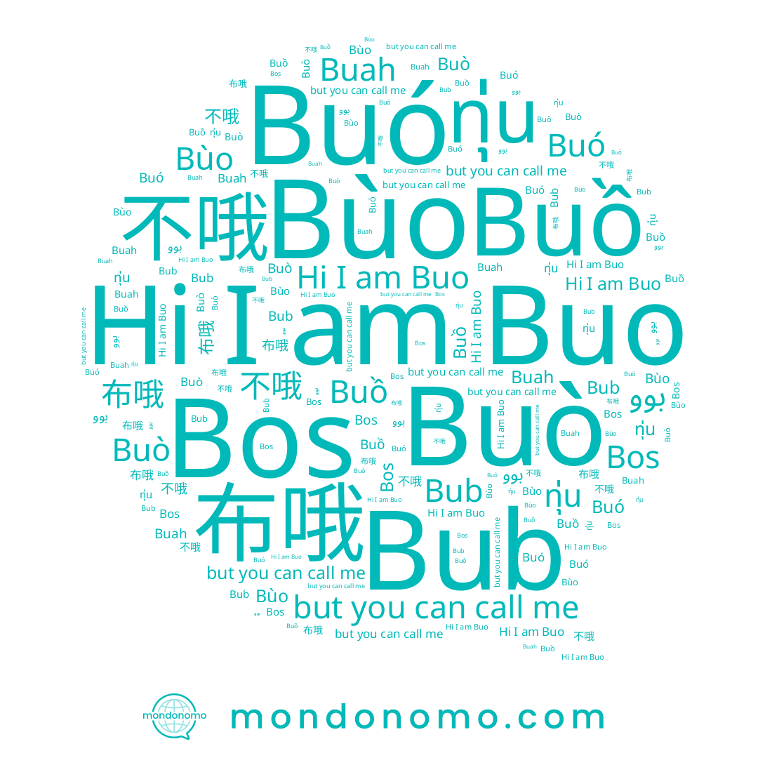 name ทุ่น, name Buò, name Buo, name 不哦, name Buó, name Buah, name 布哦, name Buồ, name Bùo, name Bub, name بوو, name Bos