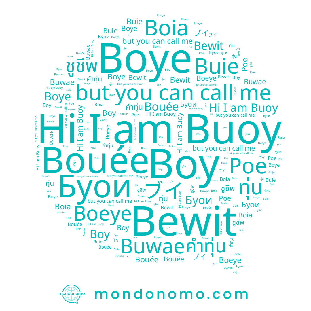 name ทุ่น, name Boeye, name Buwae, name Boy, name Boia, name Буои, name คำทุ่น, name Buie, name Bouée, name Boye, name Poe, name Buoy, name ブイ, name ชูชีพ