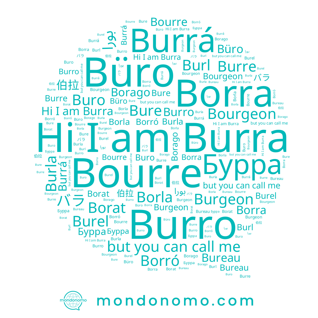 name Borra, name Bourgeon, name Burrá, name Burgeon, name Borró, name Bureau, name Burel, name Бурра, name Burre, name Bure, name Bourre, name Burro, name Buro, name بورا, name バラ, name Borla, name Burra, name Burla, name 伯拉, name Burl, name Borat