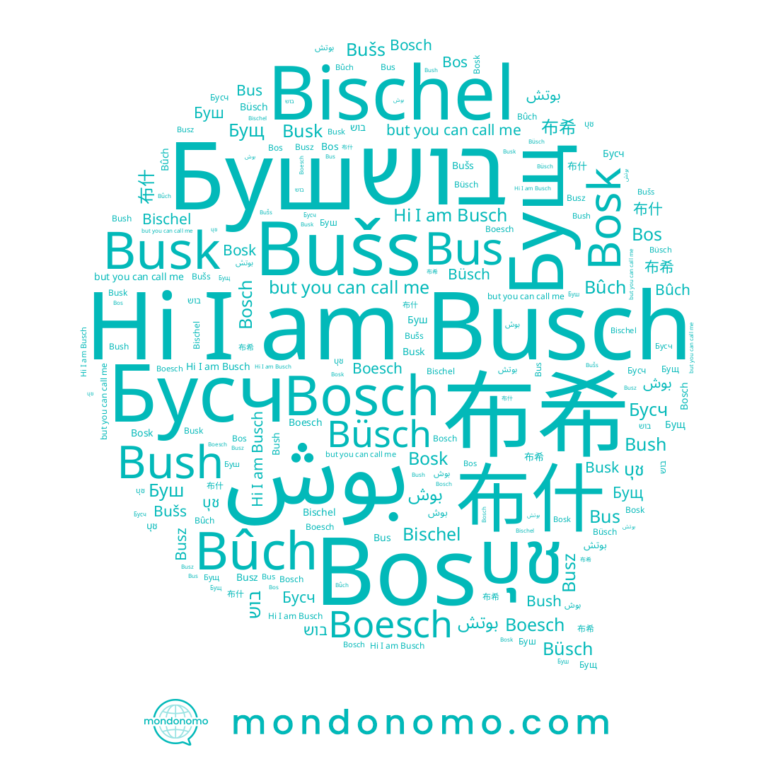 name Bischel, name Bosch, name بوش, name 布什, name บุช, name Bušs, name Busz, name Бущ, name בוש, name Буш, name Bus, name Büsch, name Bûch, name Bush, name Busk, name Boesch, name Bosk, name Bos, name Бусч, name بوتش, name 布希, name Busch