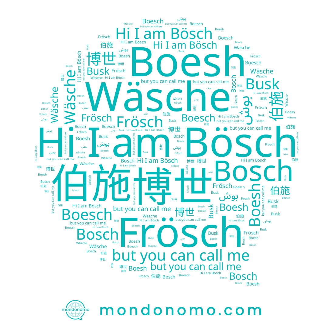 name Bosch, name بوش, name Bösch, name 博世, name 伯施, name Frösch, name Busk, name Boesch, name Boesh