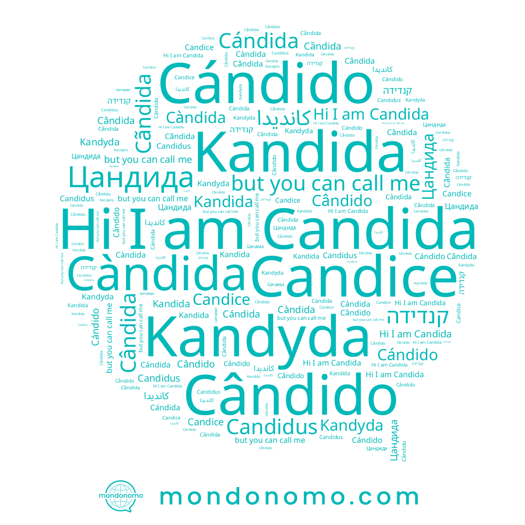 name Cândido, name Cándido, name Cándida, name Kandyda, name Candice, name Цандида, name קנדידה, name Candida, name Cândida, name كانديدا, name Kandida, name Càndida, name Candidus