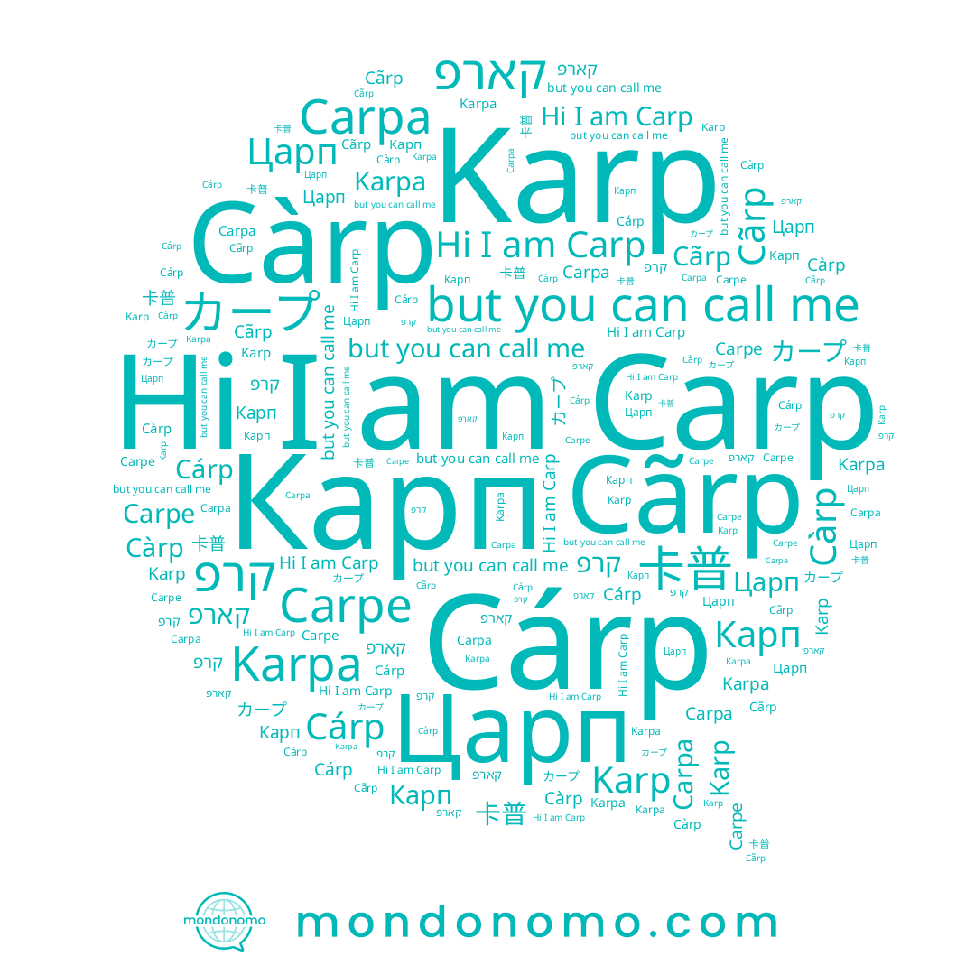 name Càrp, name קרפ, name Карп, name קארפ, name Cãrp, name Carpe, name Carpa, name 卡普, name Carp, name Karpa, name Karp, name カープ, name Царп, name Cárp