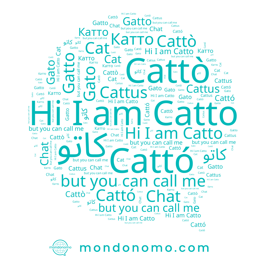 name Gato, name Cattus, name Катто, name Cat, name Chat, name Gatto, name Cattò, name Catto, name كاتو, name Cattó