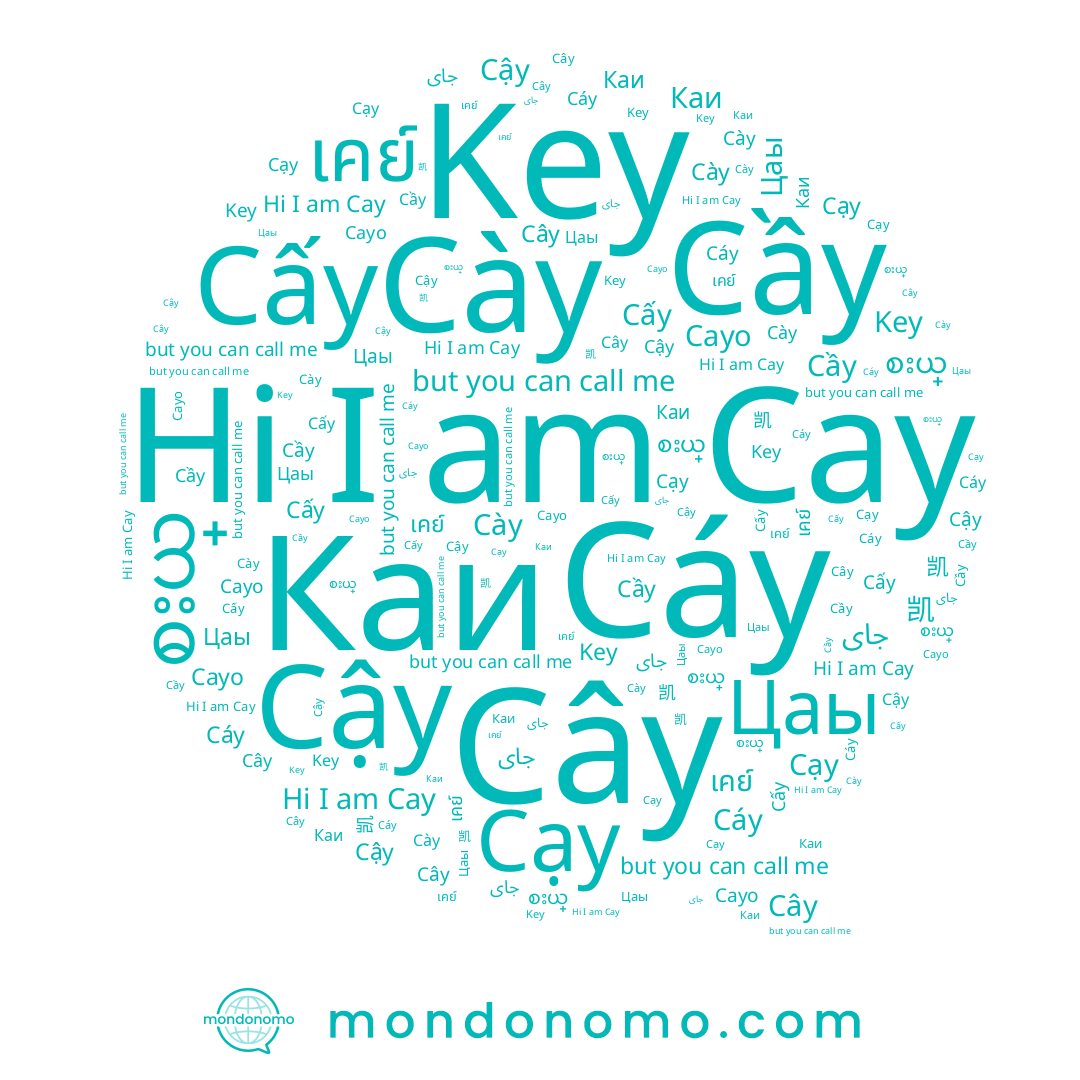name Cạy, name Cay, name 凯, name Cậy, name เคย์, name Key, name Цаы, name جای, name Каи, name Cày, name Cáy, name Cấy, name စးယ္, name Cayo, name Cầy