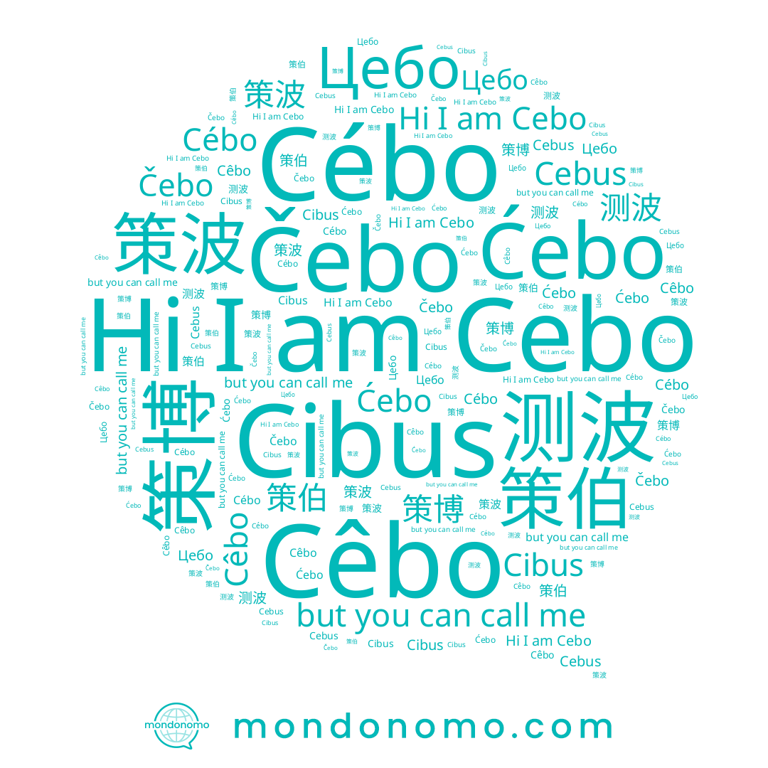 name 测波, name 策波, name 策伯, name Cebo, name Čebo, name Ćebo, name Cêbo, name 策博, name Cébo, name Cebus, name Цебо
