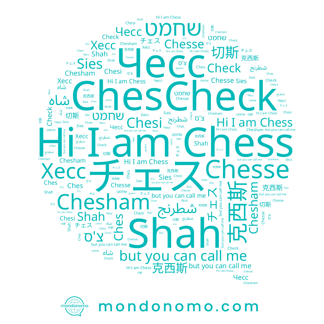 name Shah, name Ches, name Chess, name Chesham, name Chesi, name 克西斯, name 切斯, name Sies, name שחמט, name Чесс, name شطرنج, name Chesse, name Хесс, name Check, name צ'ס