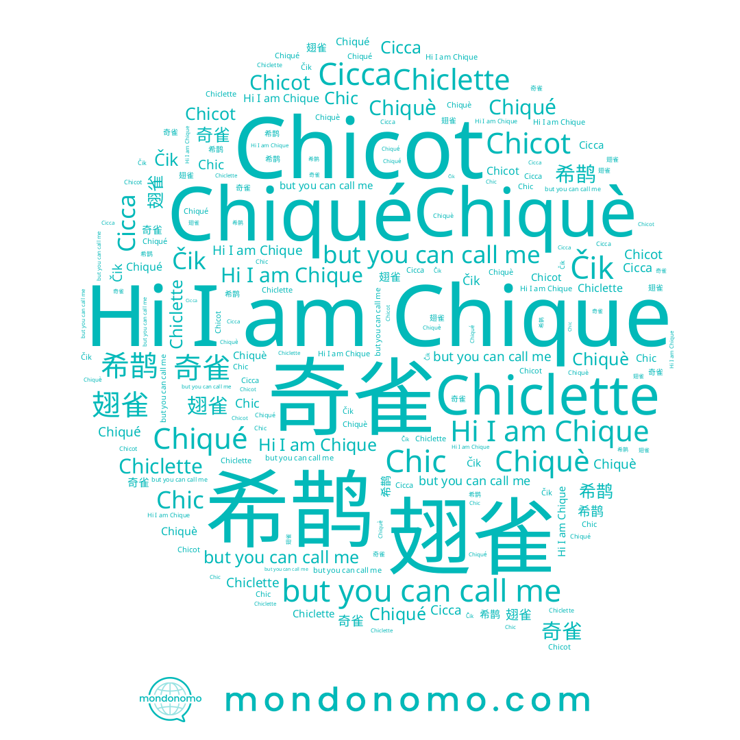 name Čik, name Cicca, name Chic, name Chique, name Chicot, name Chiclette, name 奇雀, name Chiquè, name 希鹊, name 翅雀, name Chiqué