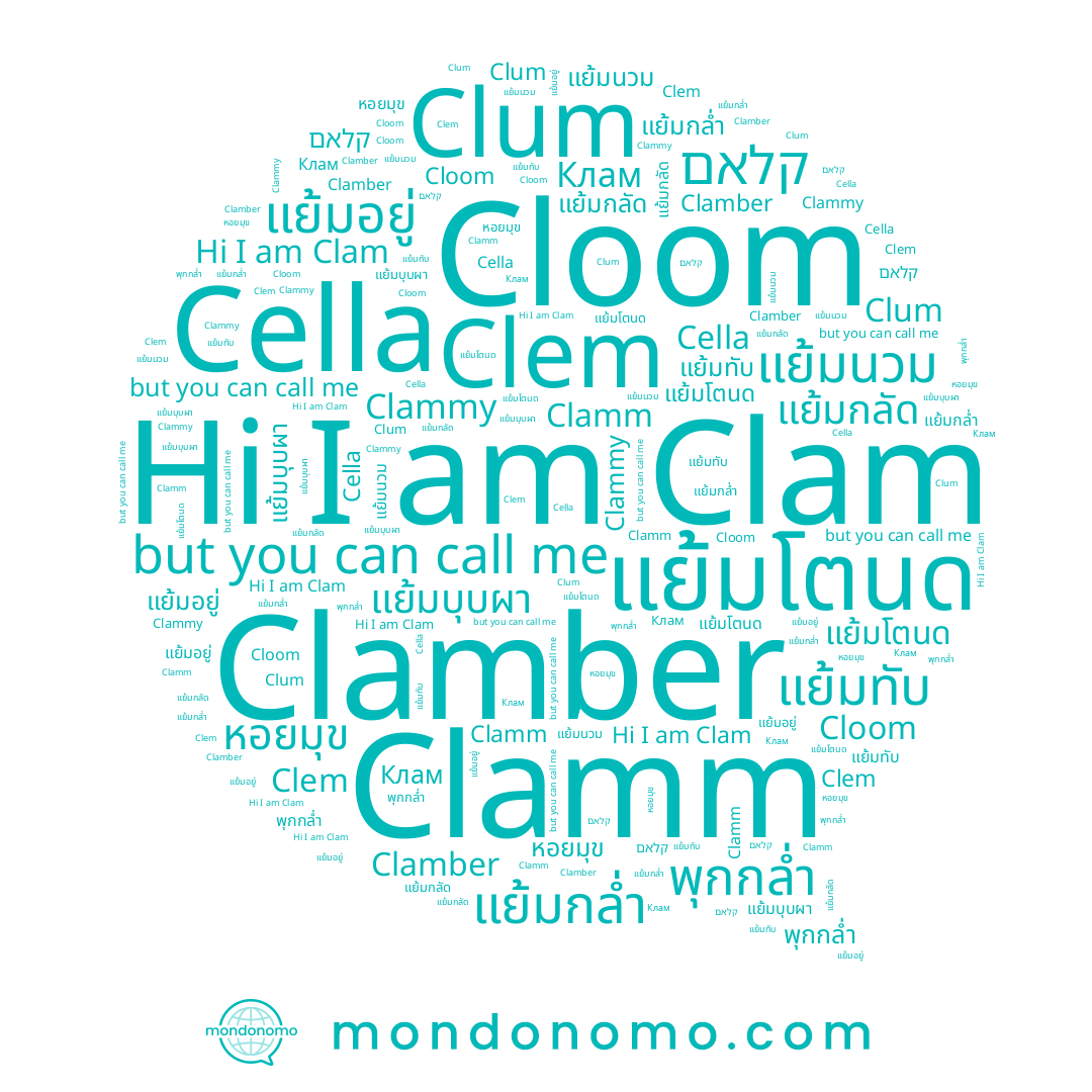 name Clum, name Clem, name Clammy, name קלאם, name แย้มนวม, name แย้มอยู่, name Clamm, name แย้มโตนด, name พุกกล่ำ, name Cloom, name Clam, name แย้มบุบผา, name หอยมุข, name Cella, name Клам, name แย้มกลัด