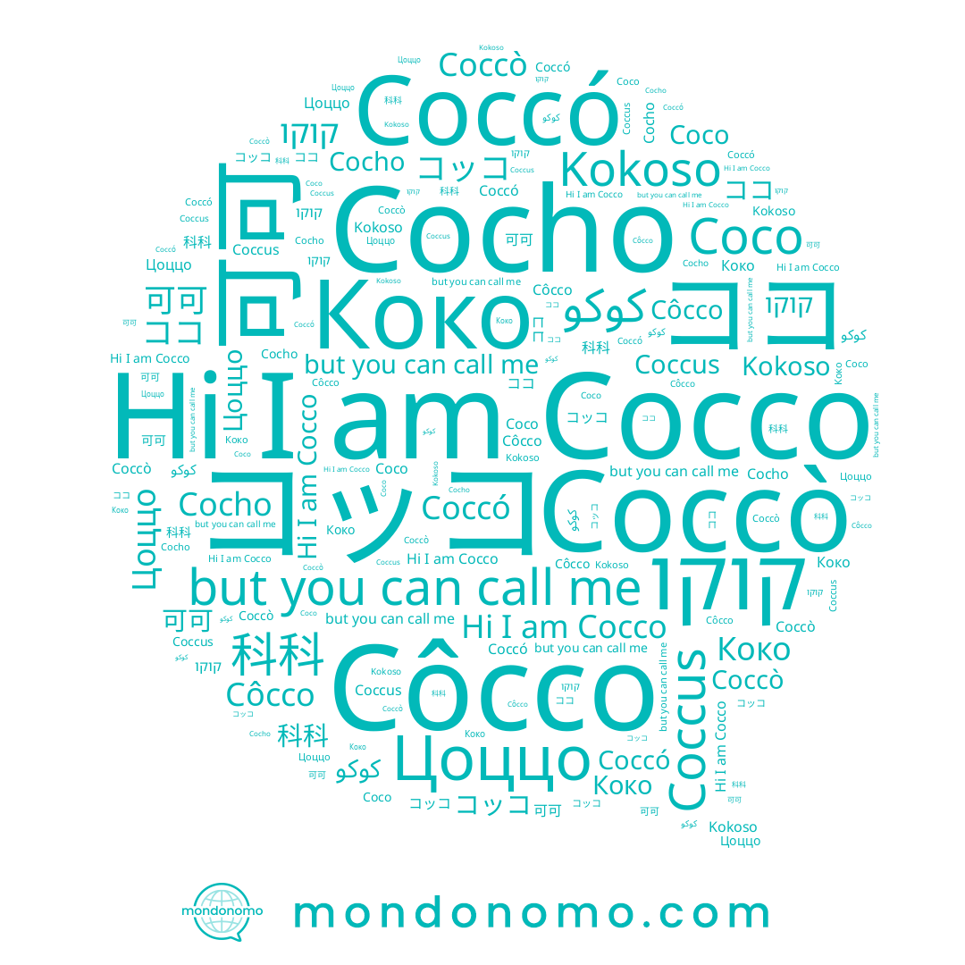 name Coccò, name كوكو, name 可可, name Cocho, name Коко, name Coco, name 科科, name Côcco, name Цоццо, name コッコ, name Coccus, name ココ, name Coccó, name Cocco, name Kokoso, name קוקו