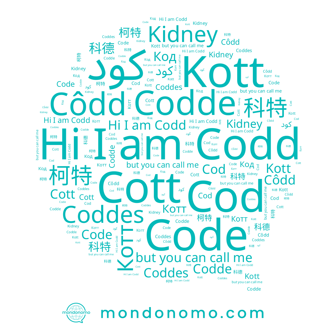 name Côdd, name Codde, name Code, name 科特, name Котт, name 柯特, name Coddes, name Codd, name Kidney, name 科德, name Cott, name Kott