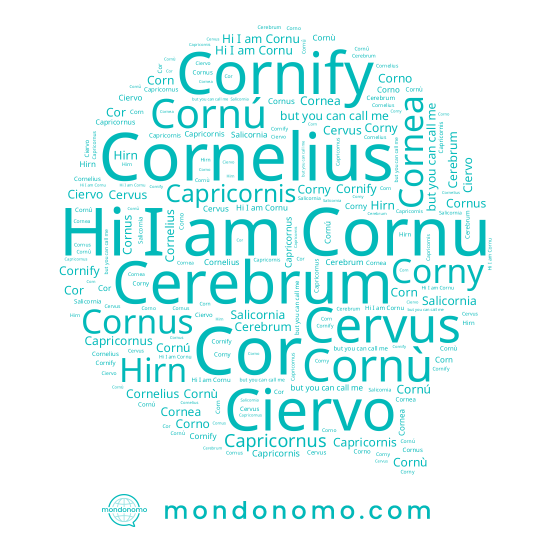 name Cornú, name Cor, name Cornelius, name Cornu, name Ciervo, name Cornù, name Cornus, name Hirn, name Corn, name Cornea, name Corno, name Capricornis, name Corny, name Capricornus, name Cornify
