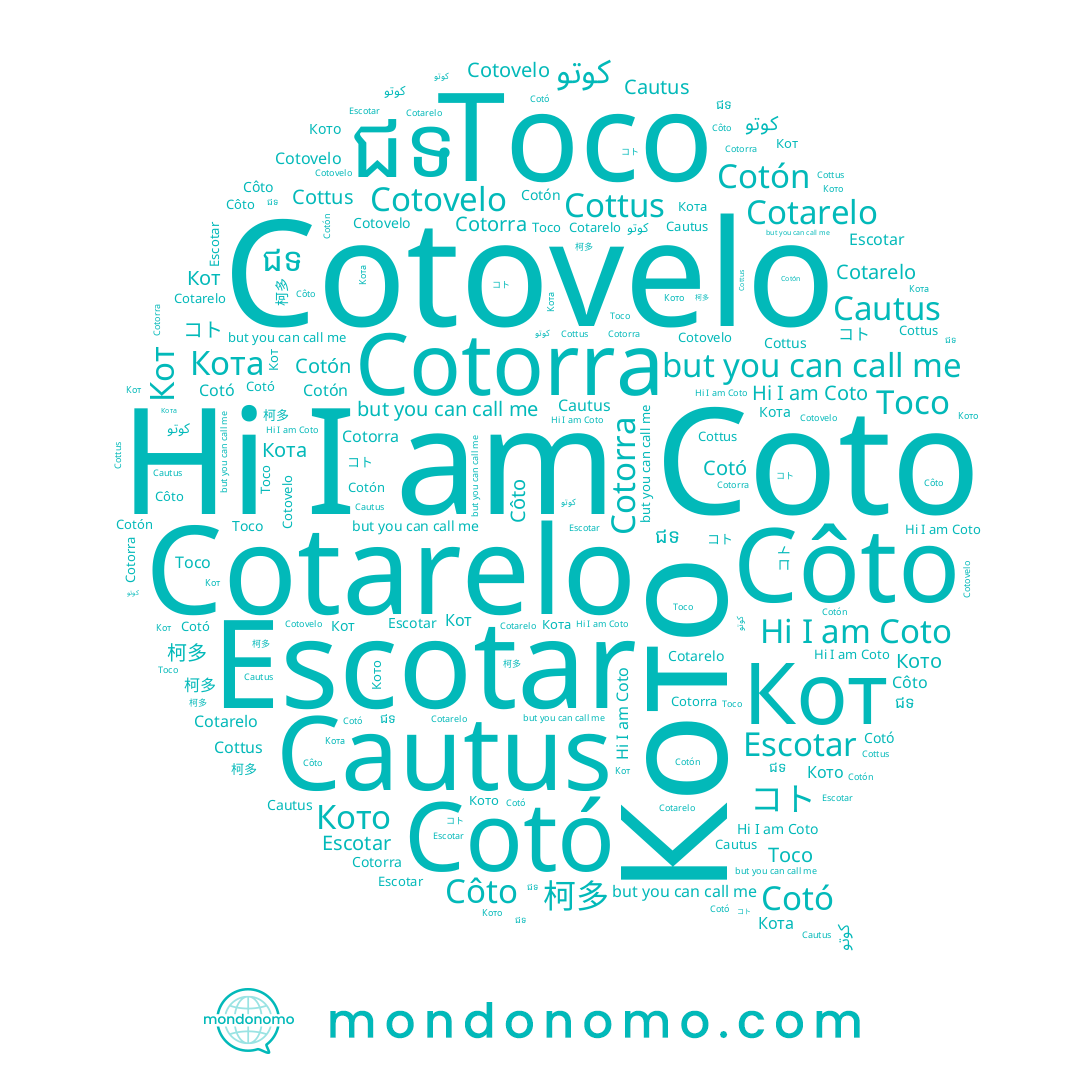 name Escotar, name Toco, name Кот, name Cottus, name 柯多, name Cotó, name كوتو, name Кото, name Cotarelo, name Cotón, name Côto, name Coto, name ជទ, name Cotorra, name コト