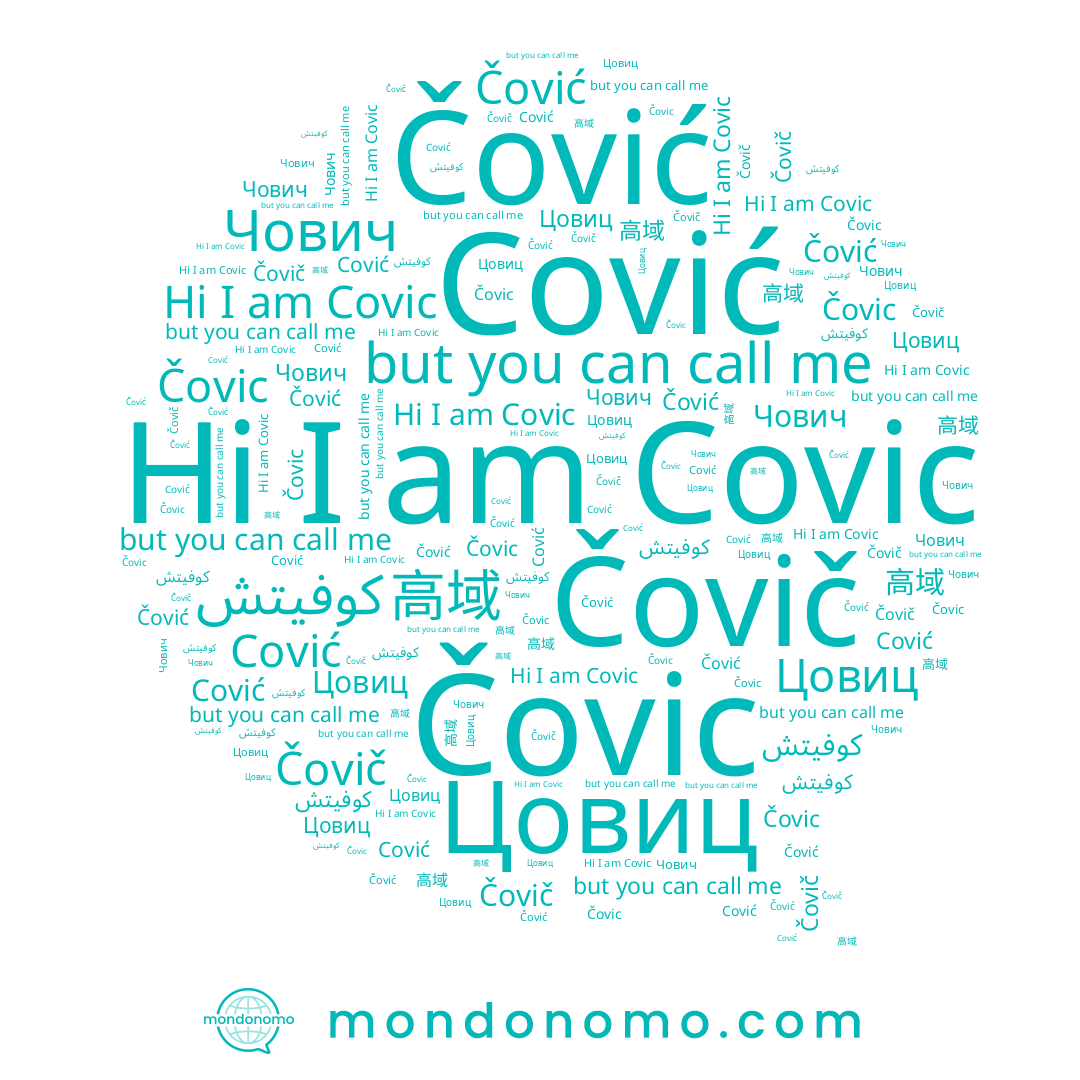 name Čovič, name 高域, name Čović, name Covic, name Čovic, name Cović, name Цовиц, name Чович