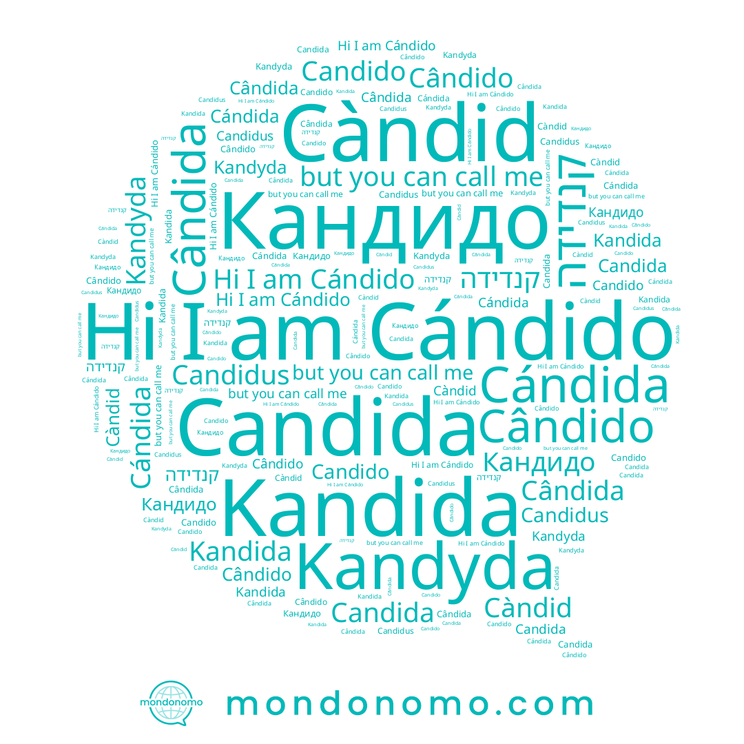 name Cândido, name Cándido, name Càndid, name Cándida, name Candido, name Kandyda, name Candida, name קנדידה, name Cândida, name Kandida, name Кандидо, name Candidus