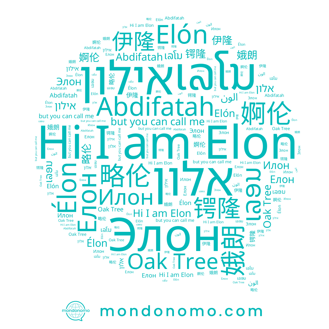 name Елон, name Oak Tree, name ເລອນ, name Илон, name 婀伦, name 锷隆, name Elon, name Elón, name ເລໂນ, name 略伦, name Élon, name 娥朗, name 伊隆, name אלון, name אילון, name Abdifatah, name Элон, name الون