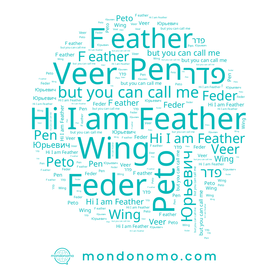 name Pen, name Peto, name Feather, name Veer, name Feder, name Wing, name Ｆeather