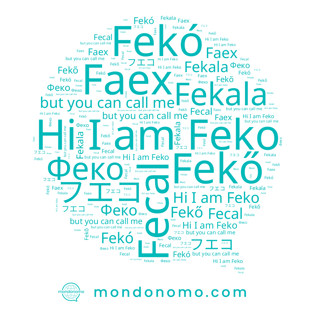 name Феко, name Fekó, name Fekala, name Feko, name Fekő, name フエコ, name Fecal
