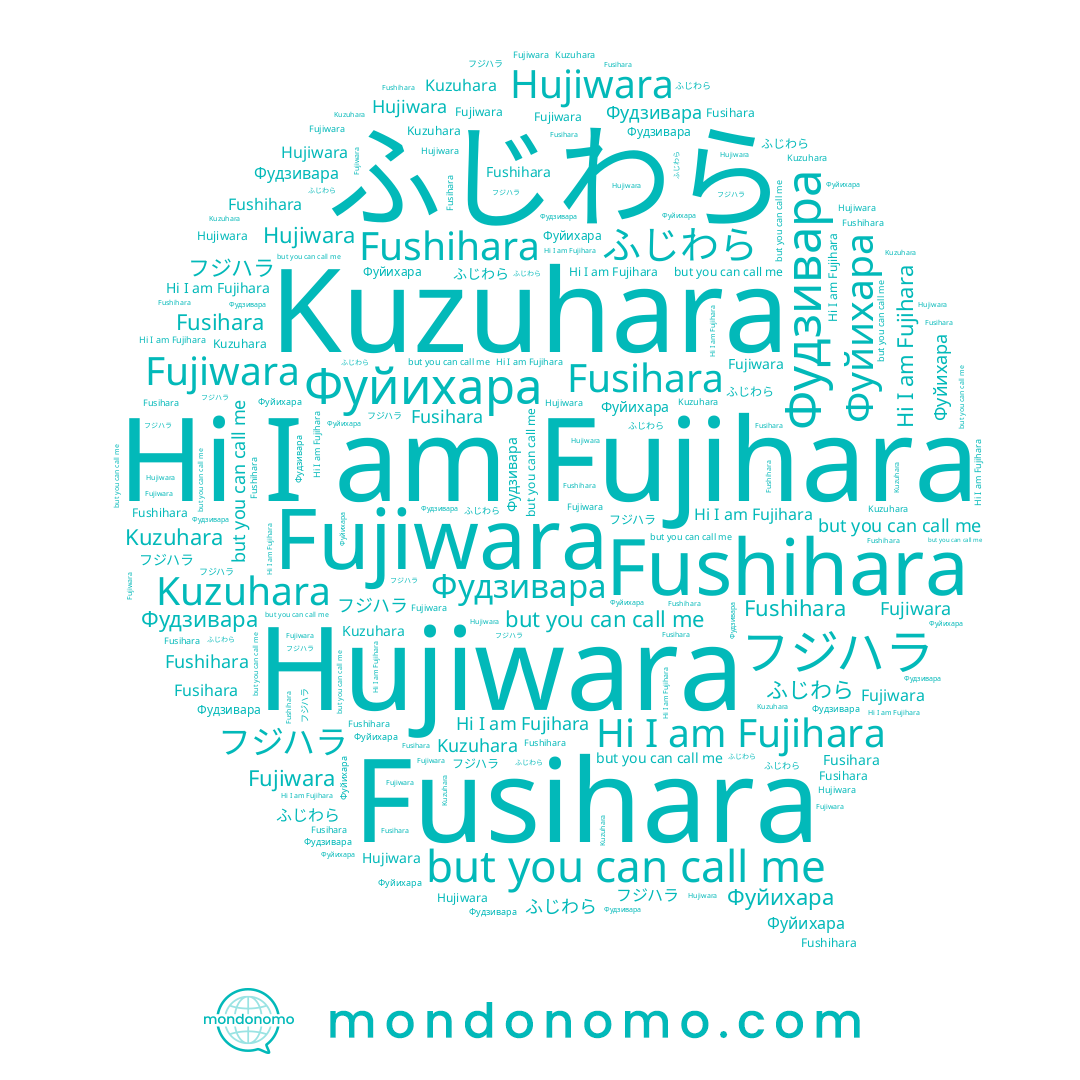 name Hujiwara, name Фуйихара, name Fujiwara, name Фудзивара, name Fushihara, name ふじわら, name Kuzuhara, name Fusihara, name フジハラ, name Fujihara