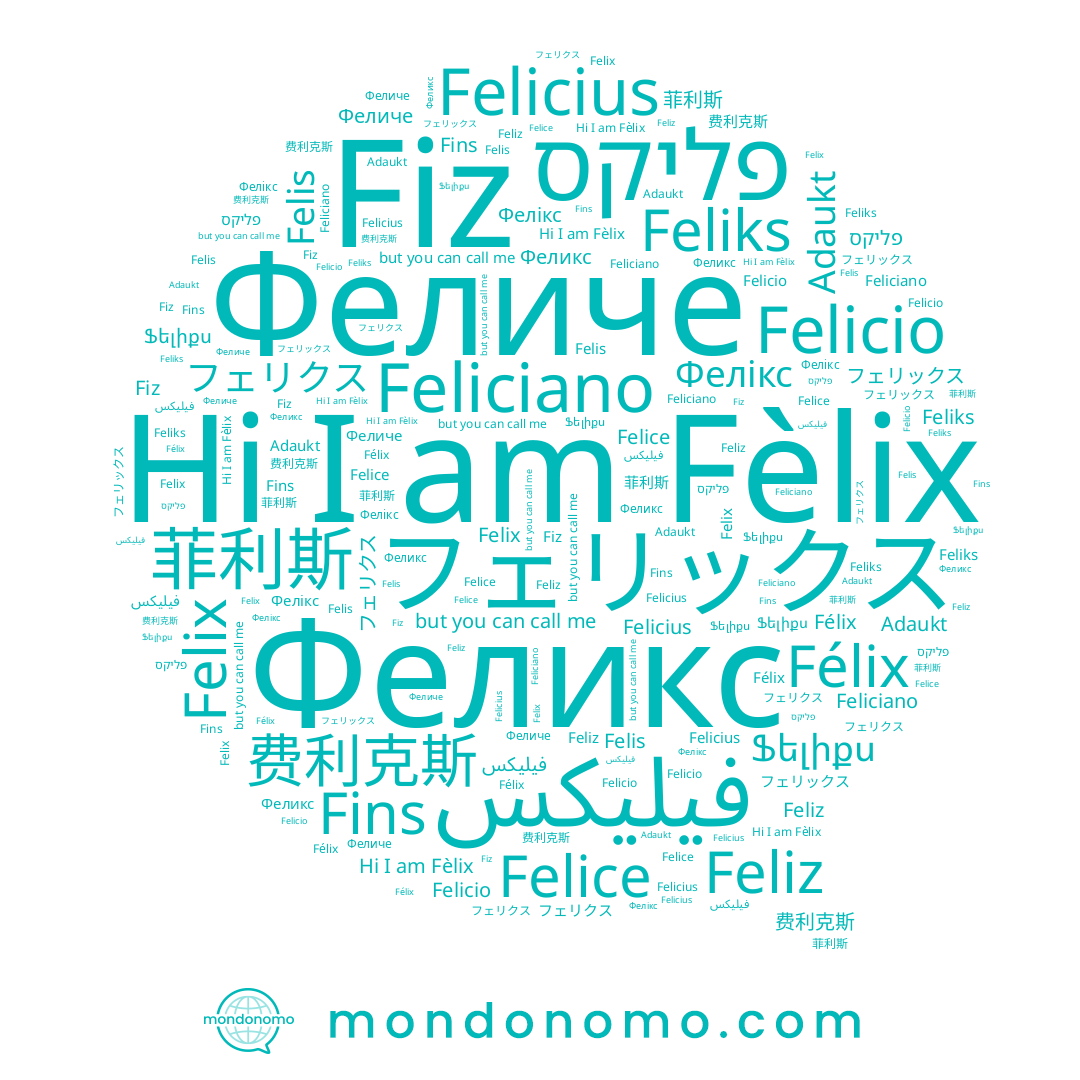 name Felice, name Feliks, name Felix, name פליקס, name Ֆելիքս, name Fins, name فيليكس, name Фелікс, name 费利克斯, name Felicio, name Felis, name Feliz, name Félix, name Fiz, name Adaukt, name フェリクス, name Fèlix, name フェリックス, name Felicius, name Феликс, name Feliciano, name 菲利斯
