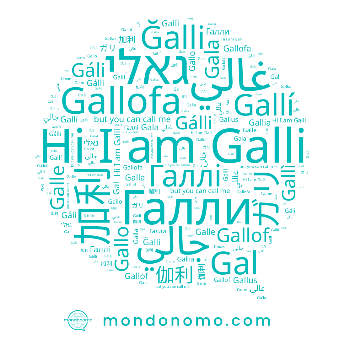 name Gallí, name Galle, name גאלי, name غاللي, name 伽利, name Галли, name Gala, name Gal, name جالى, name Galla, name غالي, name Galli, name Gallo, name Gallia, name Галлі, name 加利, name جالي, name Gáli, name Gálli, name Ğalli, name Gallì, name Gallus, name ガリ, name Gallof