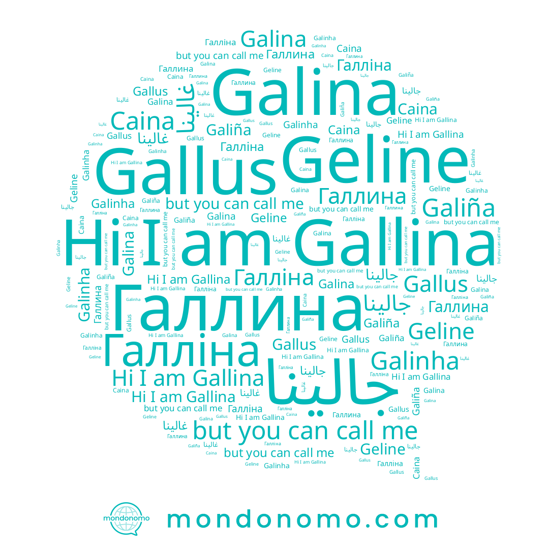name Galinha, name Галлина, name Galiña, name Caina, name Галліна, name Gallina, name Gallus, name Geline, name Galina, name جالينا, name غالينا