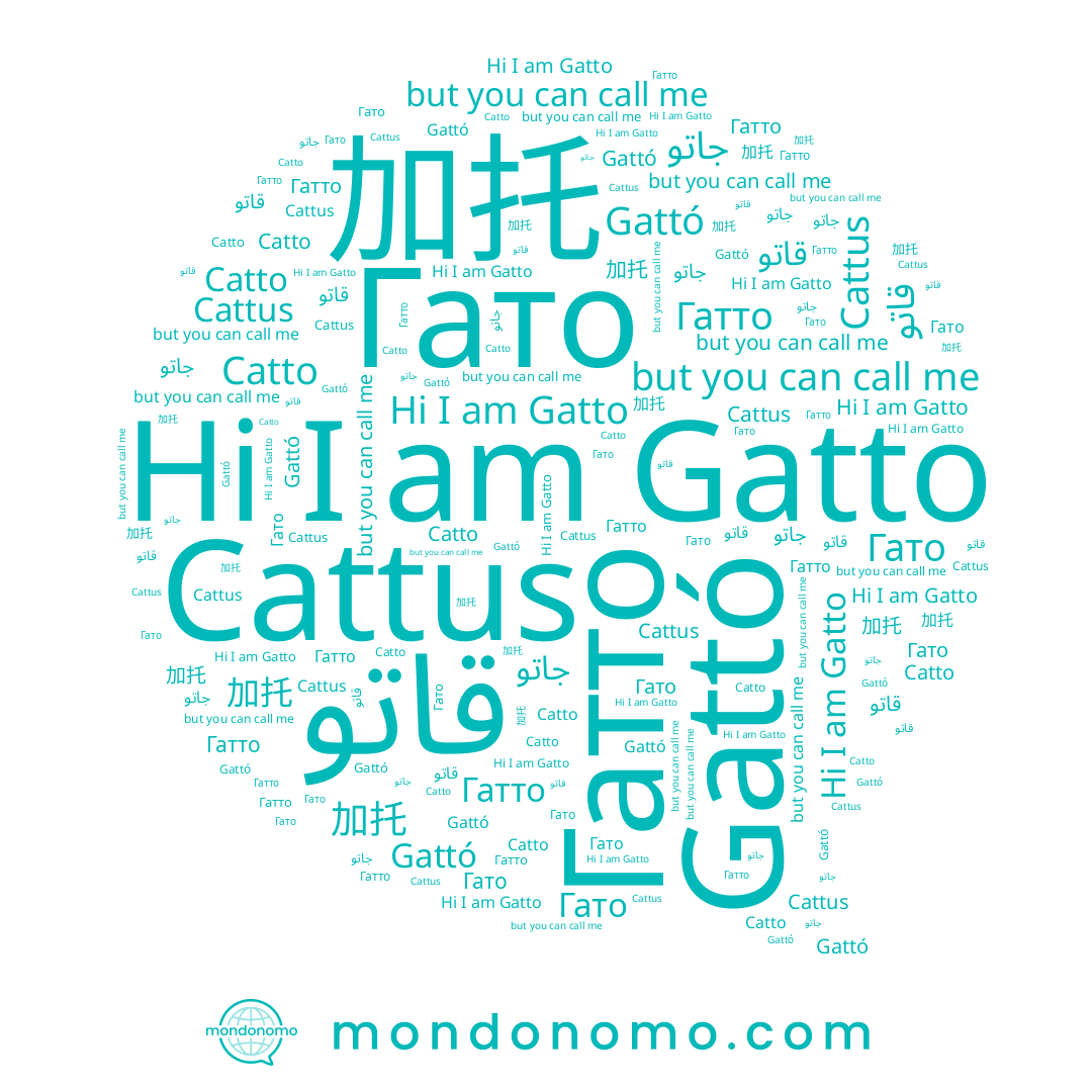 name Gattó, name Cattus, name جاتو, name Gatto, name Catto, name Гатто, name 加托