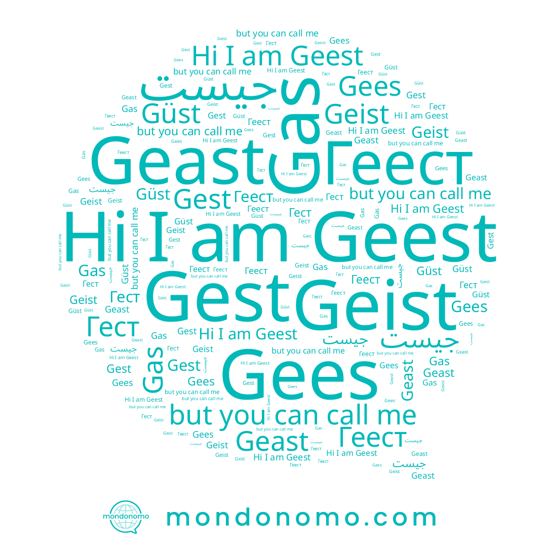 name Geast, name Geest, name Geist, name Gas, name Gees, name Гест, name Геест, name Güst, name Gest