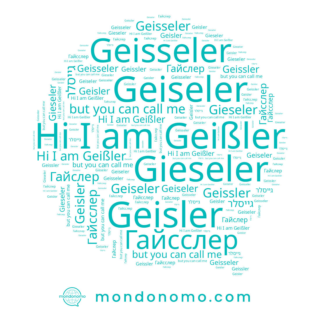 name Geisler, name Gieseler, name Гайслер, name גייסלר, name Geiseler, name Гайсслер, name Geißler, name Geisseler, name Geissler