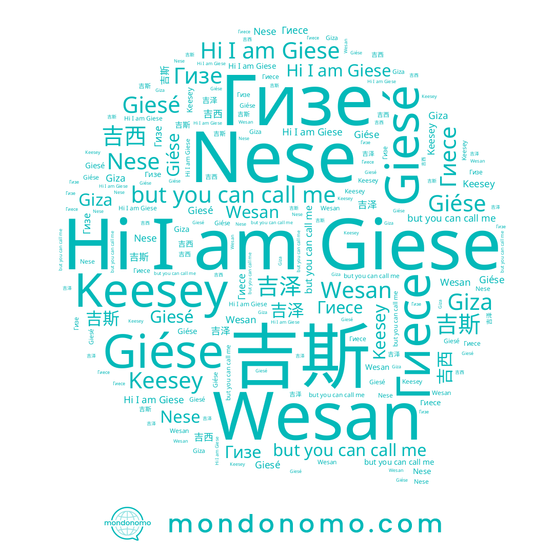 name Giza, name Wesan, name 吉泽, name 吉斯, name Giese, name Гизе, name Гиесе, name Giesé, name 吉西, name Giése, name Keesey, name Nese
