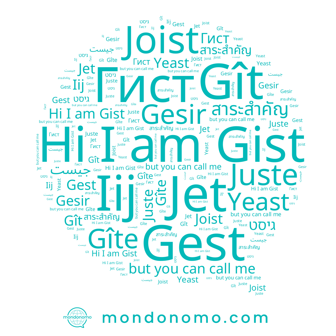 name Gît, name Yeast, name Гист, name Jet, name Gesir, name Gîte, name גיסט, name Gist, name สาระสำคัญ, name Juste, name Gest